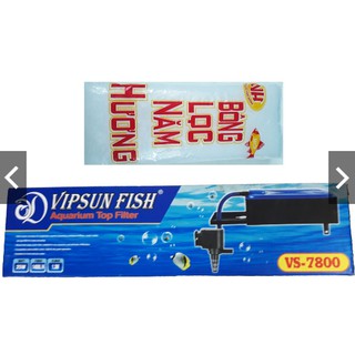 Máy Bơm Lọc Nước Hồ Cá VS-7800 & Bông Lọc - Bộ Bơm Lọc Nước Bể Cá Vipsun