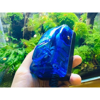 Sủi Oxy Sobo