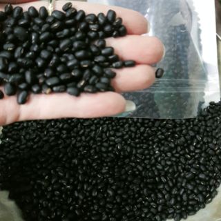 1kg đỗ đen rang hạt nhỏ ( xanh lòng lúc sống)