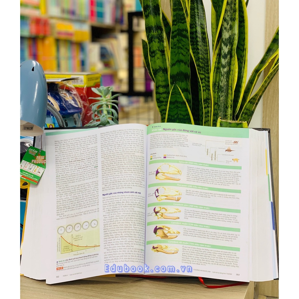 Sách - Sinh Học Campbell