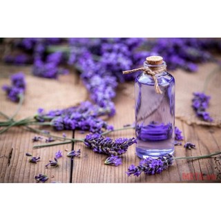SET Tinh Dầu Oải Hương Lavender