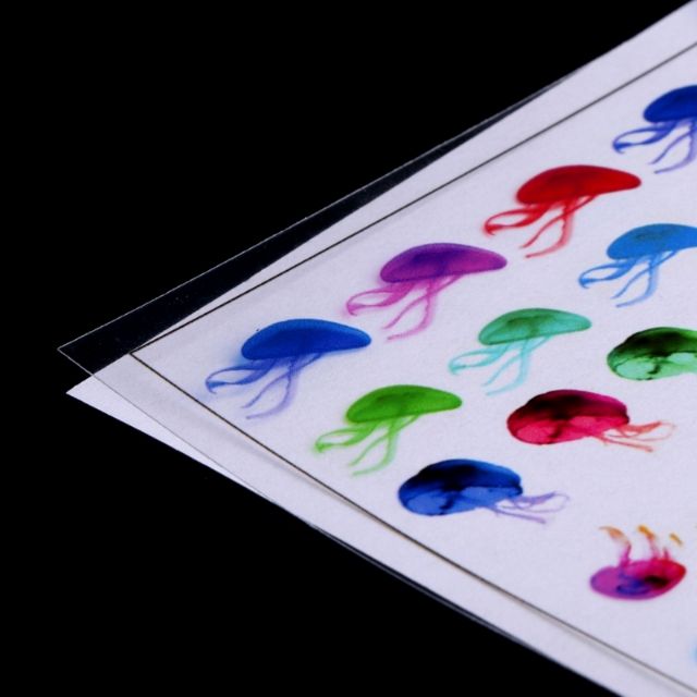 Bộ 3 miếng dán decal sticker sứa nhiều mẫu.