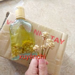 1 lọ dẹt 80ml Tinh dầu tràm ngâm hoa nén