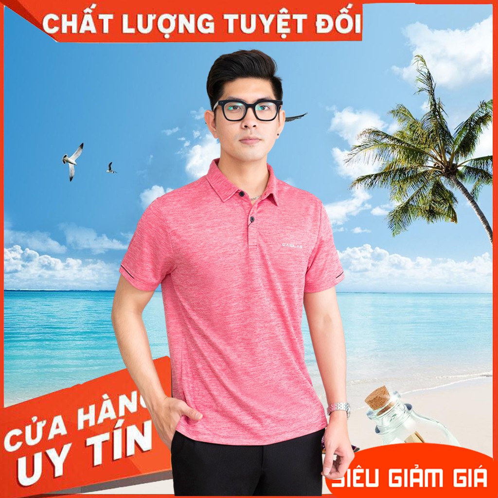 Áo thun nam tay ngắn, áo phông nam có cổ, vải mềm mịn, form regular fit P2008 Chính Hãng | BigBuy360 - bigbuy360.vn