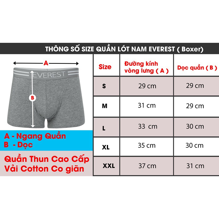 Quần lót nam cao cấp Everest (Giao mẫu ngẫu nhiên đúng size)