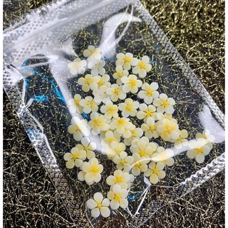Hoa mai nhí gắn móng trang trí móng