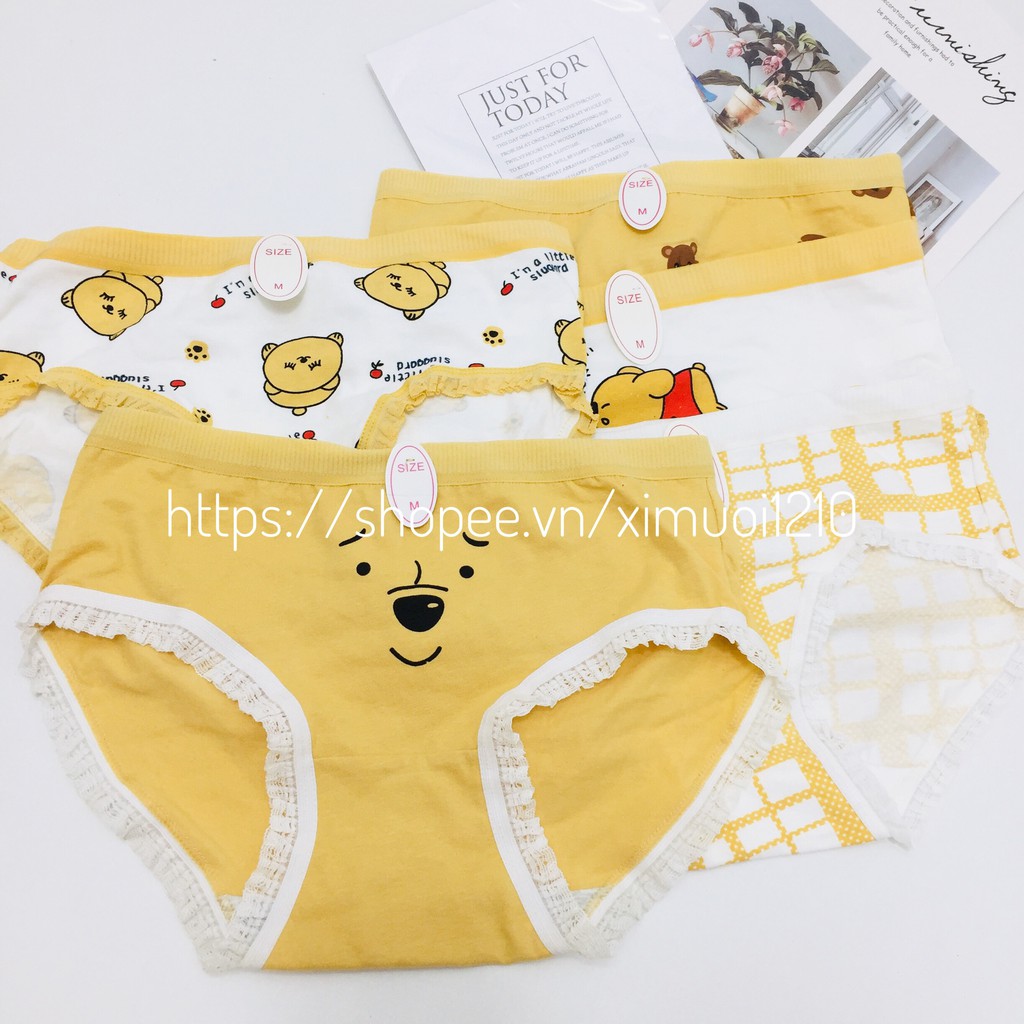 Quần lót nữ_Quần Lót Nữ Cotton HỌA TIẾT GẤU CUTE_SIÊU DỄ THƯƠNG🌞 | BigBuy360 - bigbuy360.vn