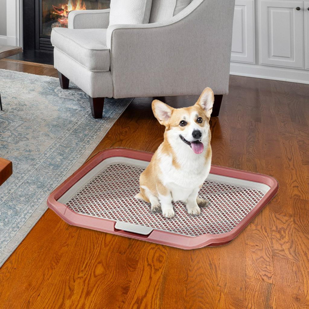 Hộp Đi Vệ Sinh Huấn Luyện Thú Cưng Koolsoo21 Koolsoo21 Kích Thước Nhỏ Và Vừa