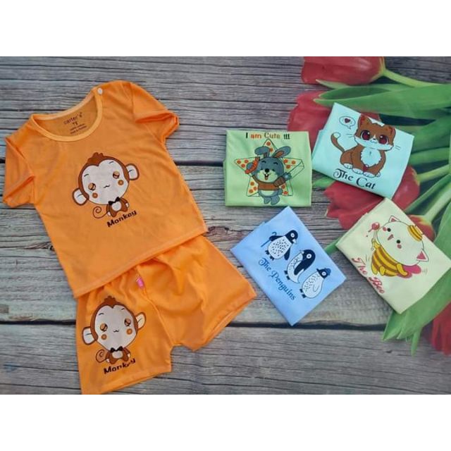 Combo 5b 120k