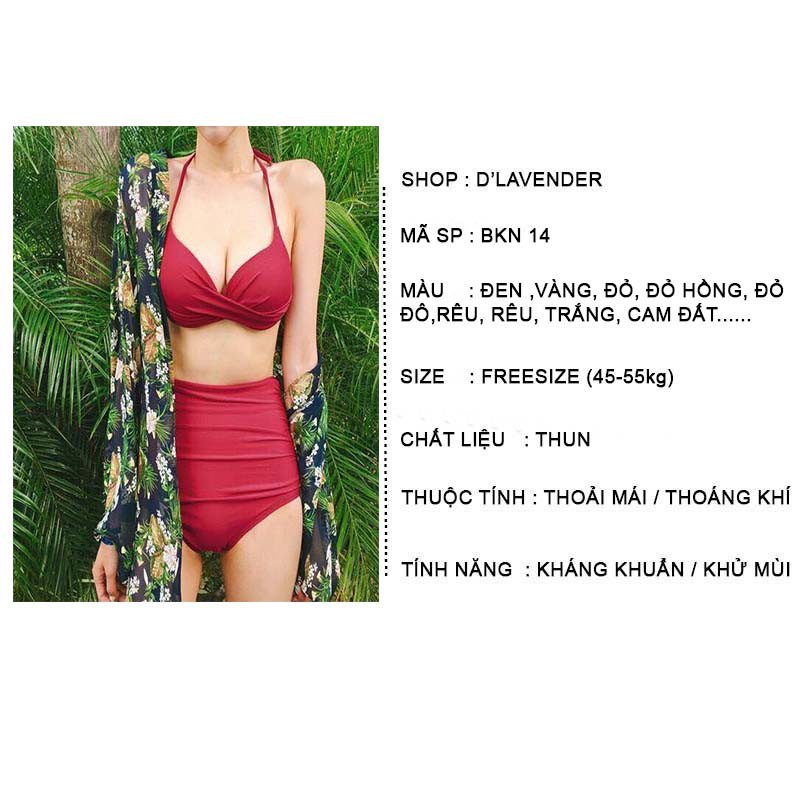 Bikini, Đồ Bơi Đi Biển Hai Mảnh Gọng B BKN 14