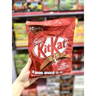 Gói kitkat 2f socola x 12 thanh