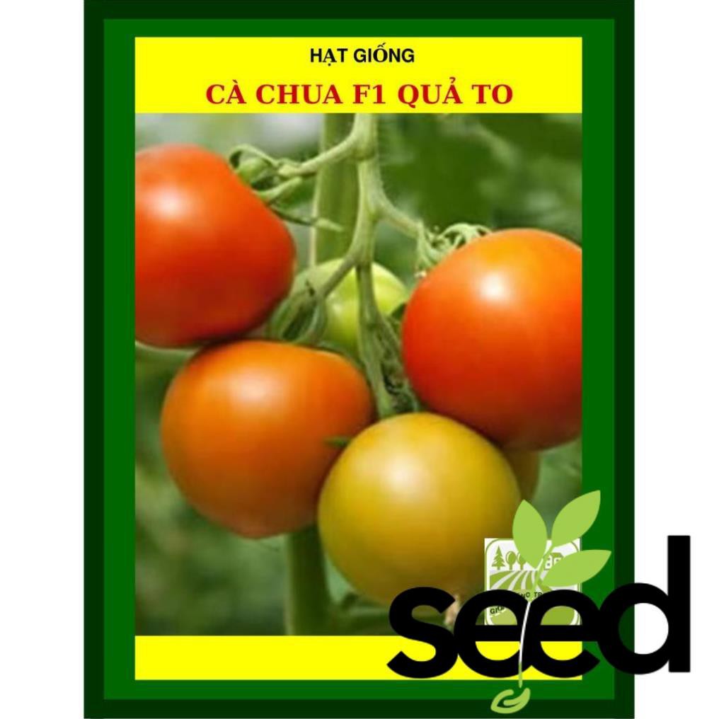 Hạt Giống Cà Chua 1Gram