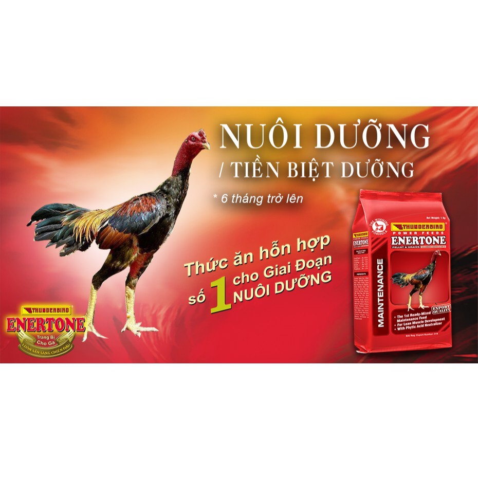 THỨC ĂN GÀ ĐÁ