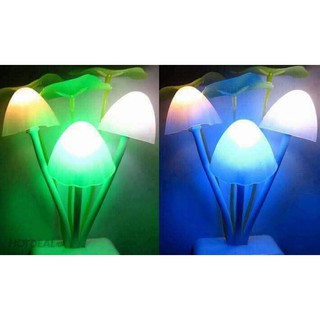 ĐÈN NGỦ HÌNH NẤM CẢM ỨNG ÁNH SÁNG ĐỔI MÀU