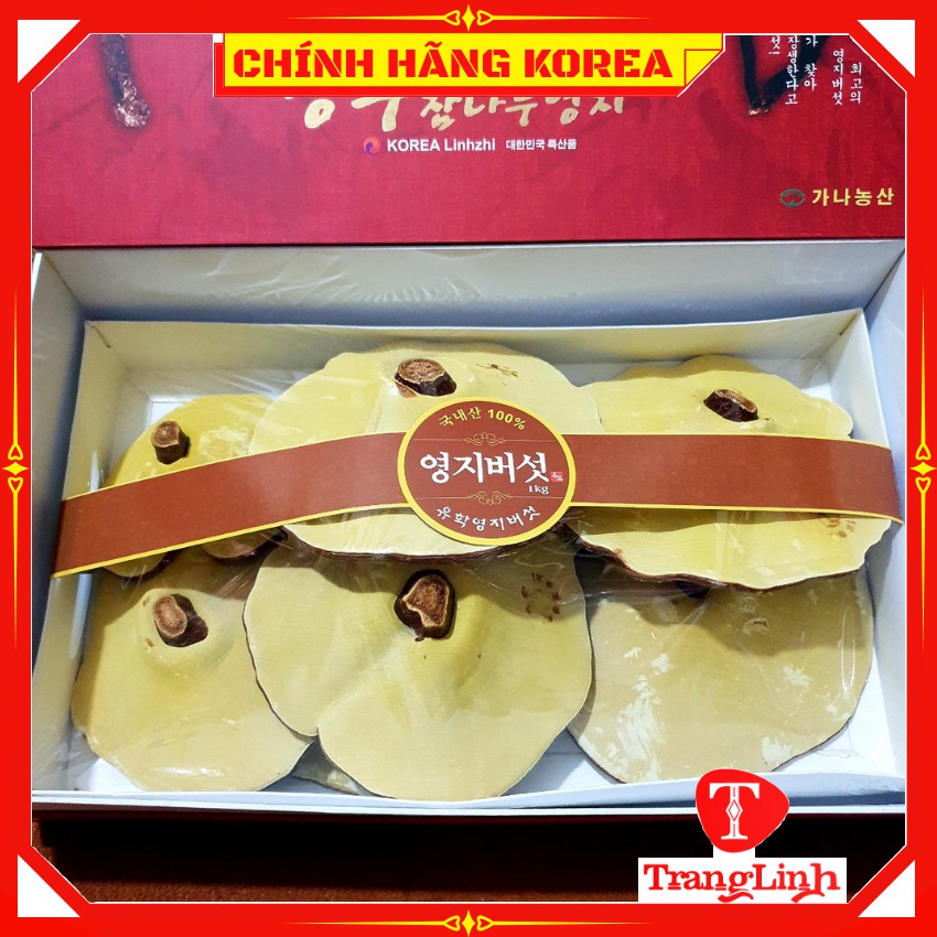 Nấm linh chi hàn quốc thượng hạng - Nấm hộp đỏ Vip 1kg giúp thải độc gan, thanh lọc cơ thể - tranglinhkorea