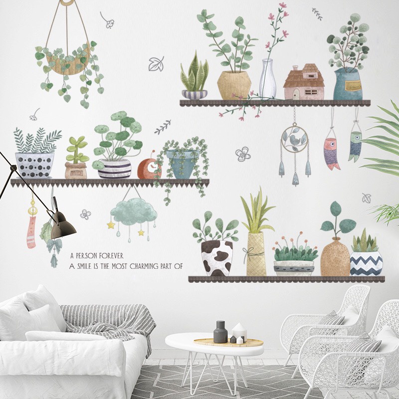 Decal trang trí tường - Những chậu cây sen đá và hoa nhỏ