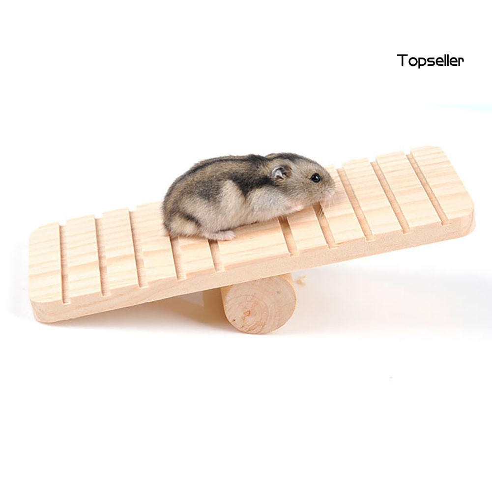 Đồ Chơi Bằng Gỗ Tự Làm Cho Chuột Hamster