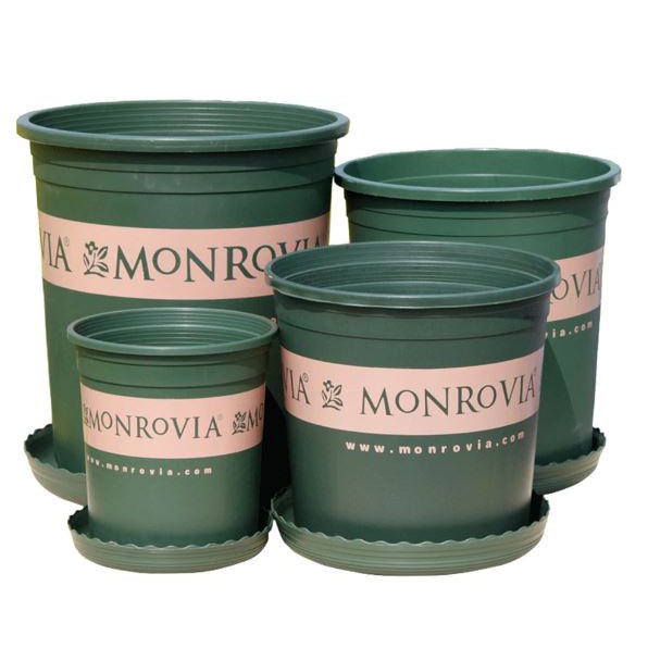 Chậu Monrovia Size 3 24x26,5cm - Chậu nhựa trồng cây chuyên dùng trồng Hoa Hồng và các loại hoa kiểng