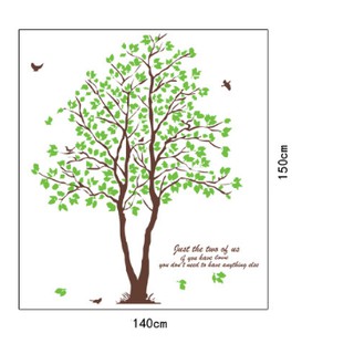 Decal trang trí Cây xanh ( làm được nhiều mẫu )