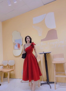 đầm xoè tay bèo