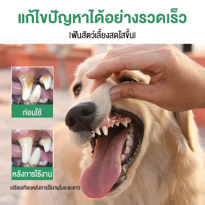 MASTI Kem đánh răng làm sạch răng cho thú cưng Fresh Breath Clean Tartar Finger Set LI0302