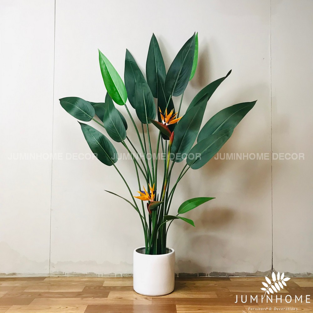 Chậu gốm , chậu xi măng, kệ gỗ để chậu cây Decor trang trí trồng Cây giả