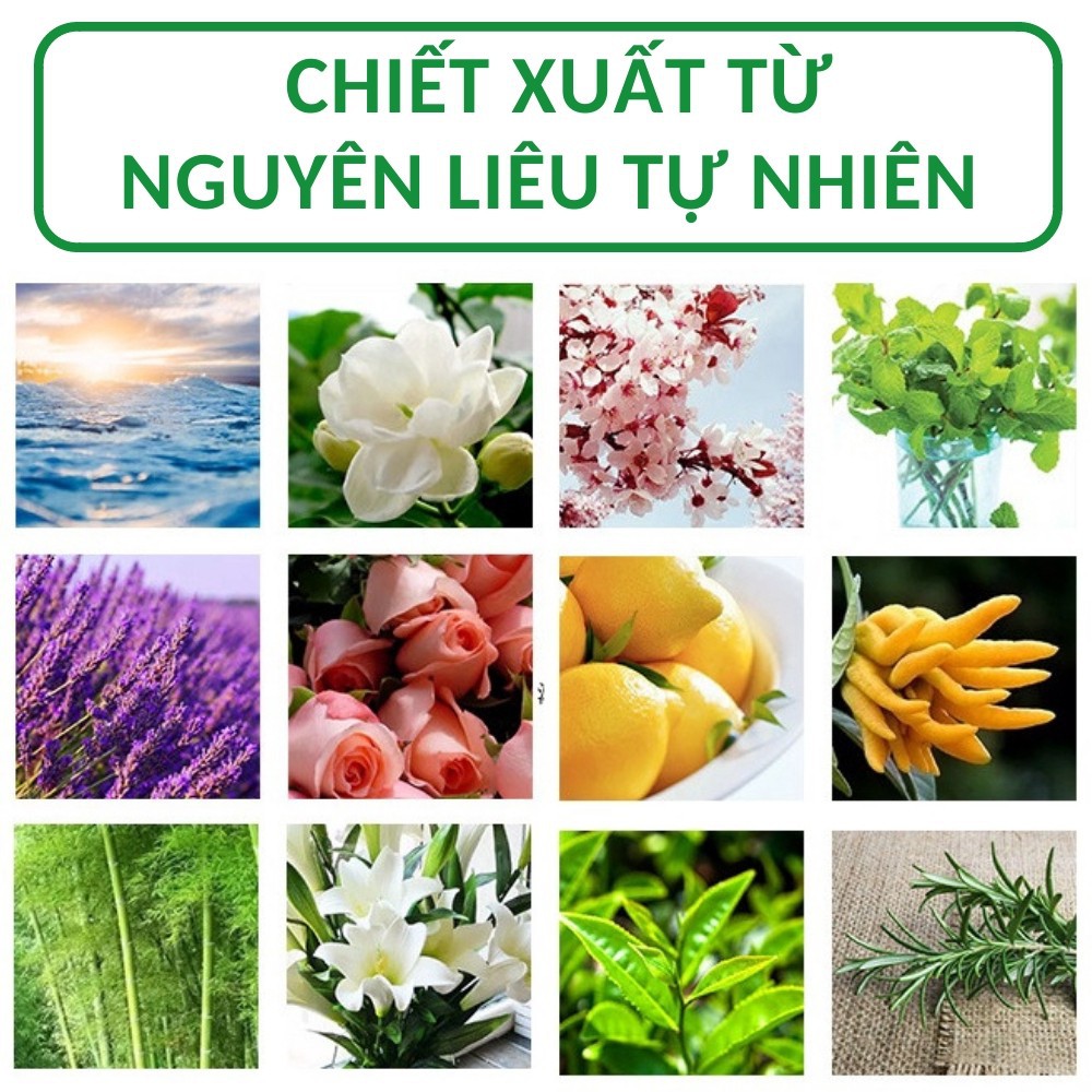 [MUA 2 TẶNG 1] Tinh dầu thơm phòng DAVOS nguyên chất 100% 10ml | Xuất xứ Ấn Độ | Khử mùi diệt khuẩn hiệu quả