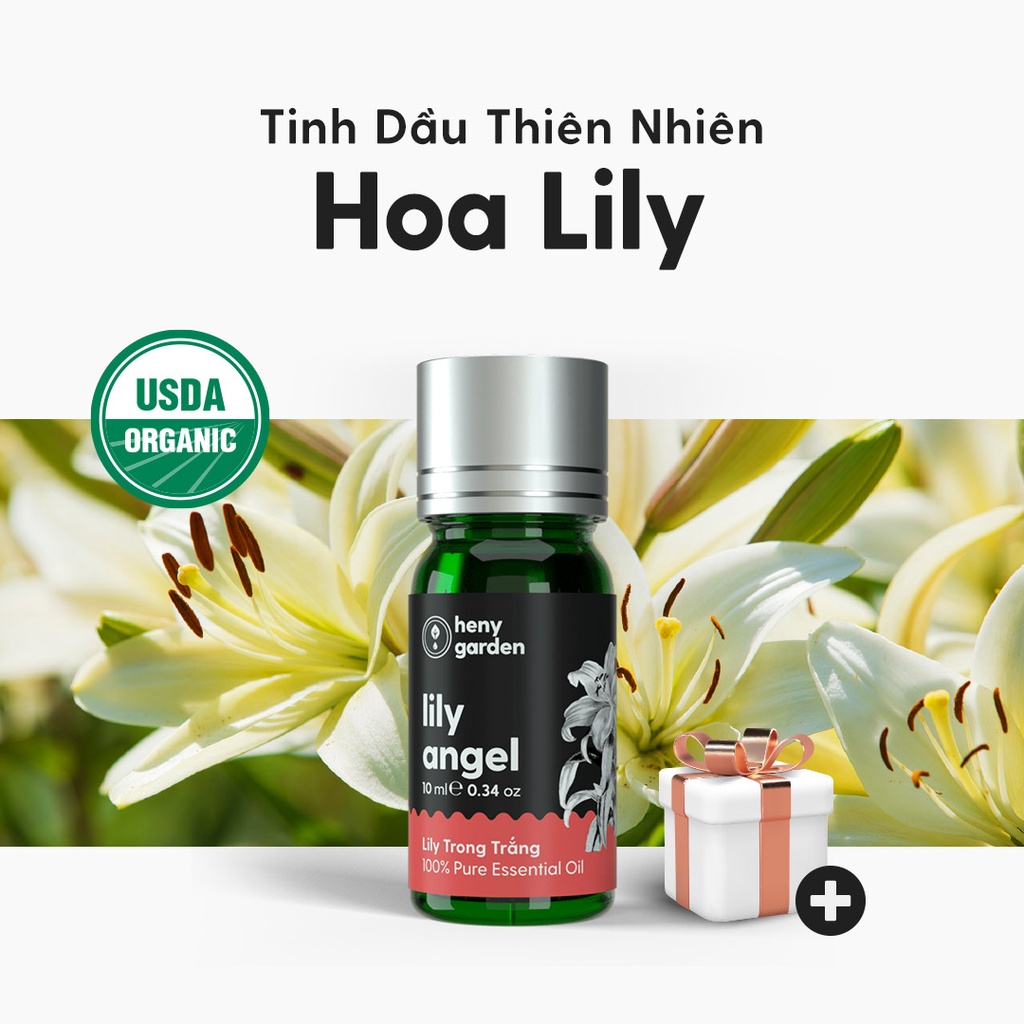 Tinh Dầu Lily (Hoa Ngọt Phấn) Organic Thiên Nhiên Nguyên Chất Đậm Đặc Xông Thơm Phòng, Làm Nến Thơm HENY GARDEN