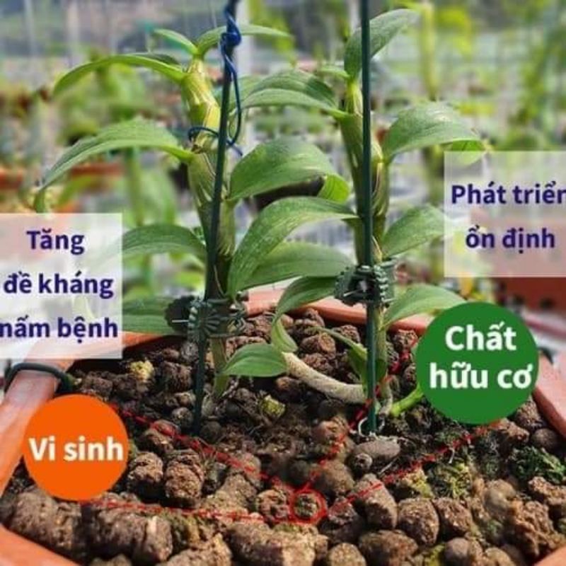 PHÂN BÓN TRÙN QUẾ CAO CẤP DẠNG VIÊN NÉN