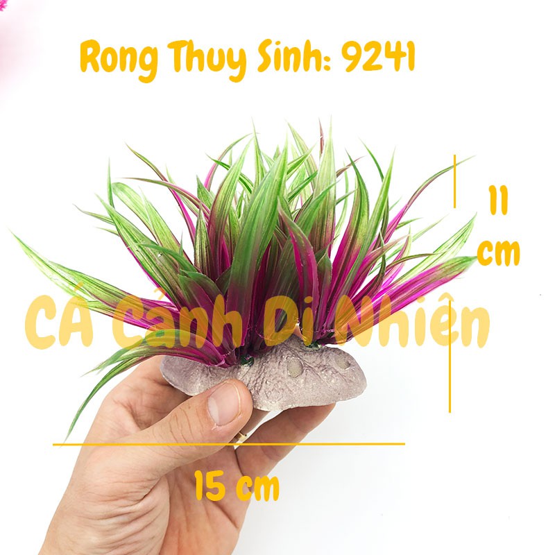 Mô hình cây rong Thủy Sinh trang trí hồ cá cảnh size 12CM
