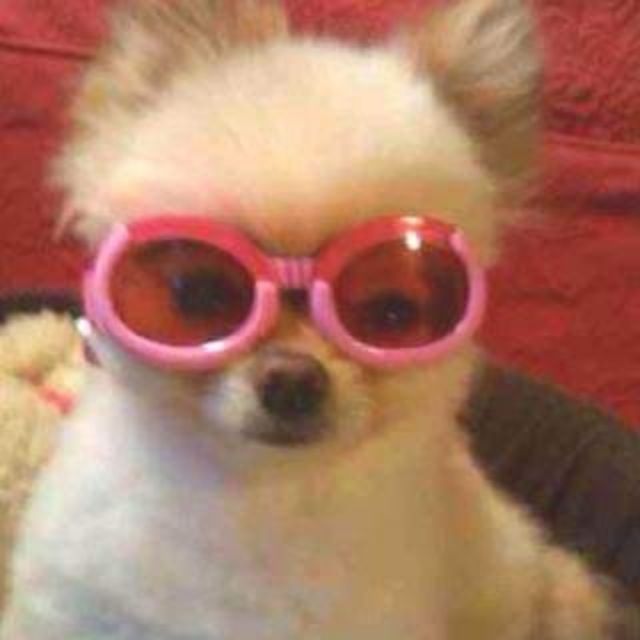 Hannie.Styles