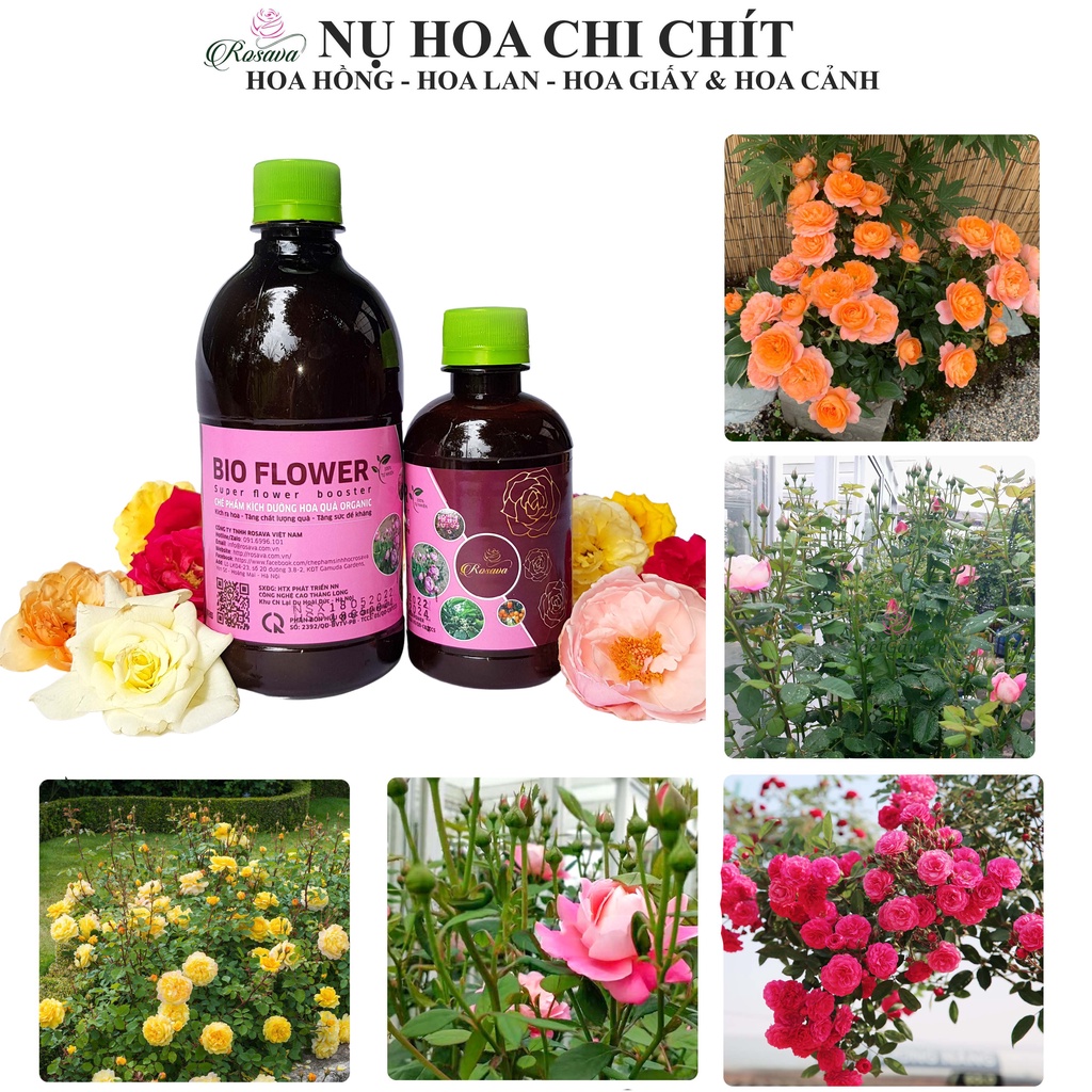 Phân bón hữu cơ vi sinh kích thích ra hoa ROSAVA cho cây cảnh, hoa hồng, hoa giấy, hoa lan, sen đá