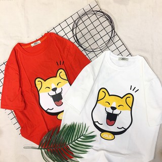 ÁO THUN CHÓ SHIBA