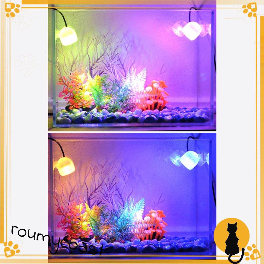 Đèn LED trang trí bể cá sử dụng dưới nước