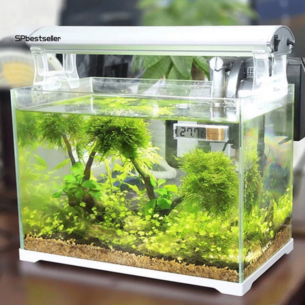 Nhiệt Kế Điện Tử Màn Hình Lcd 3d Cho Bể Cá