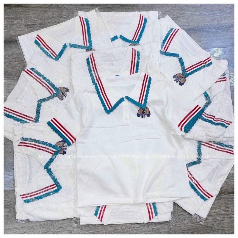 áo thun quảng châu thêu hình bao chất sịn sò