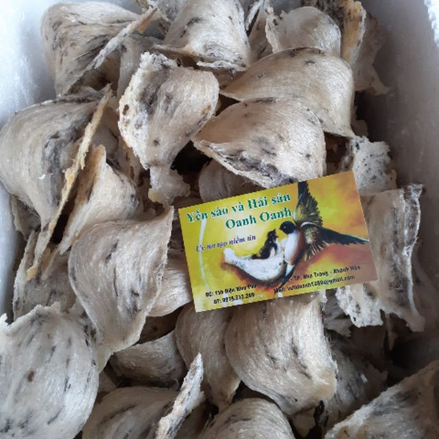 100gr yến sào thô/ tổ yến thô ngà hồng yến + tặng nhíp và nguyên liệu chưng yến
