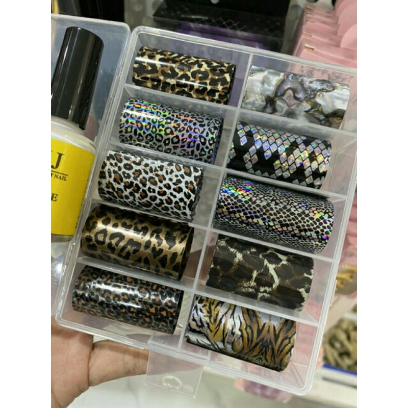 Fion hot mẫu mới