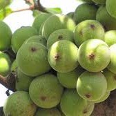 KHO SỈ LẺ TUI HIEU QUOC BAO