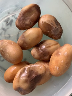 Trái mây Thái 3kg