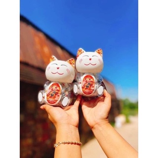 kẹo mèo thần tài socola