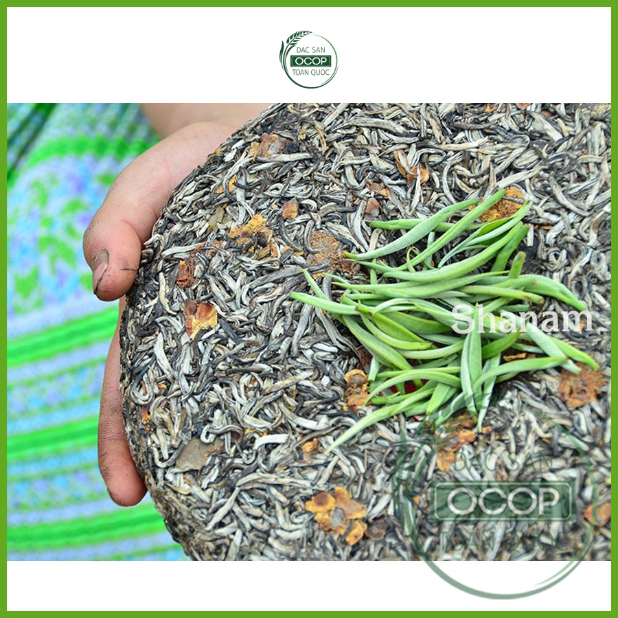 Bạch trà Thiên Shanam (Hộp 80g) | Trà Shan Tuyết Cổ Thụ 400 năm tuổi | Hương vị núi rừng Tây Bắc