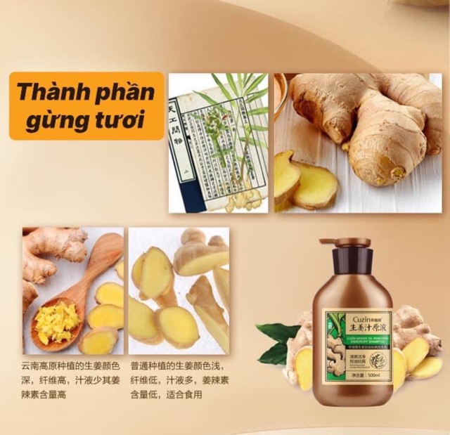 Dầu gội xả gừng Cuzin | BigBuy360 - bigbuy360.vn