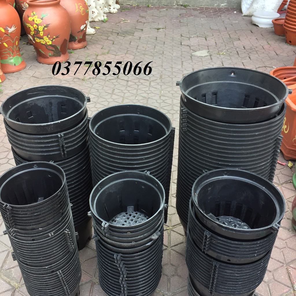 Chậu nhựa lan phi, giỏ trồng lan chuyên dụng kích thước đa dạng từ 12-15-18-20cm giá rẻ nhất (có bán sỉ)