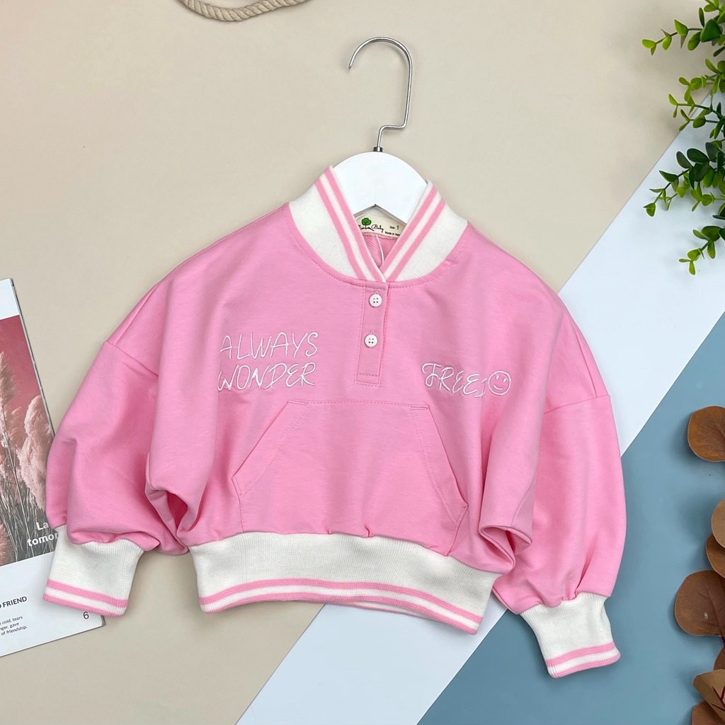 Áo nỉ bé gái thêu bo lé LITIBABY 6/10