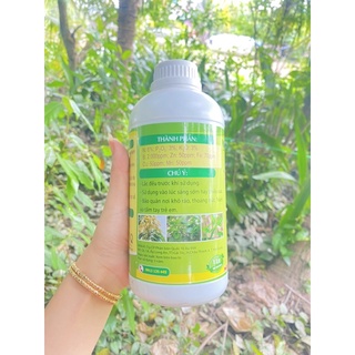 Ra rễ vọt đọt-Đạm cá Animo-THT