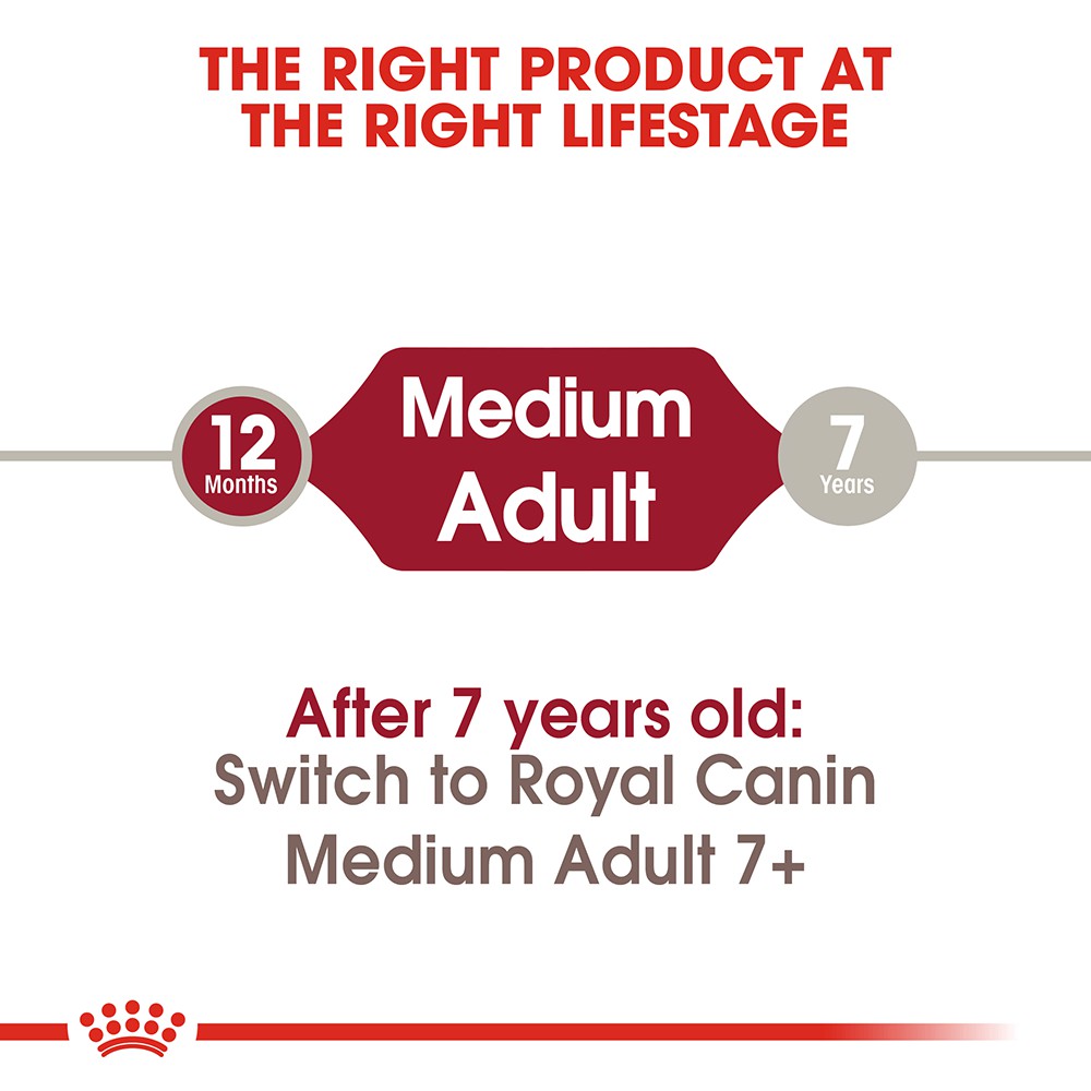 [1kg] Hạt Royal Canin Medium Adult Cho Chó Trưởng Thành Size Vừa