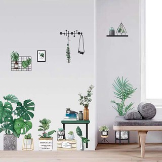 decal dán tường chậu cây xanh