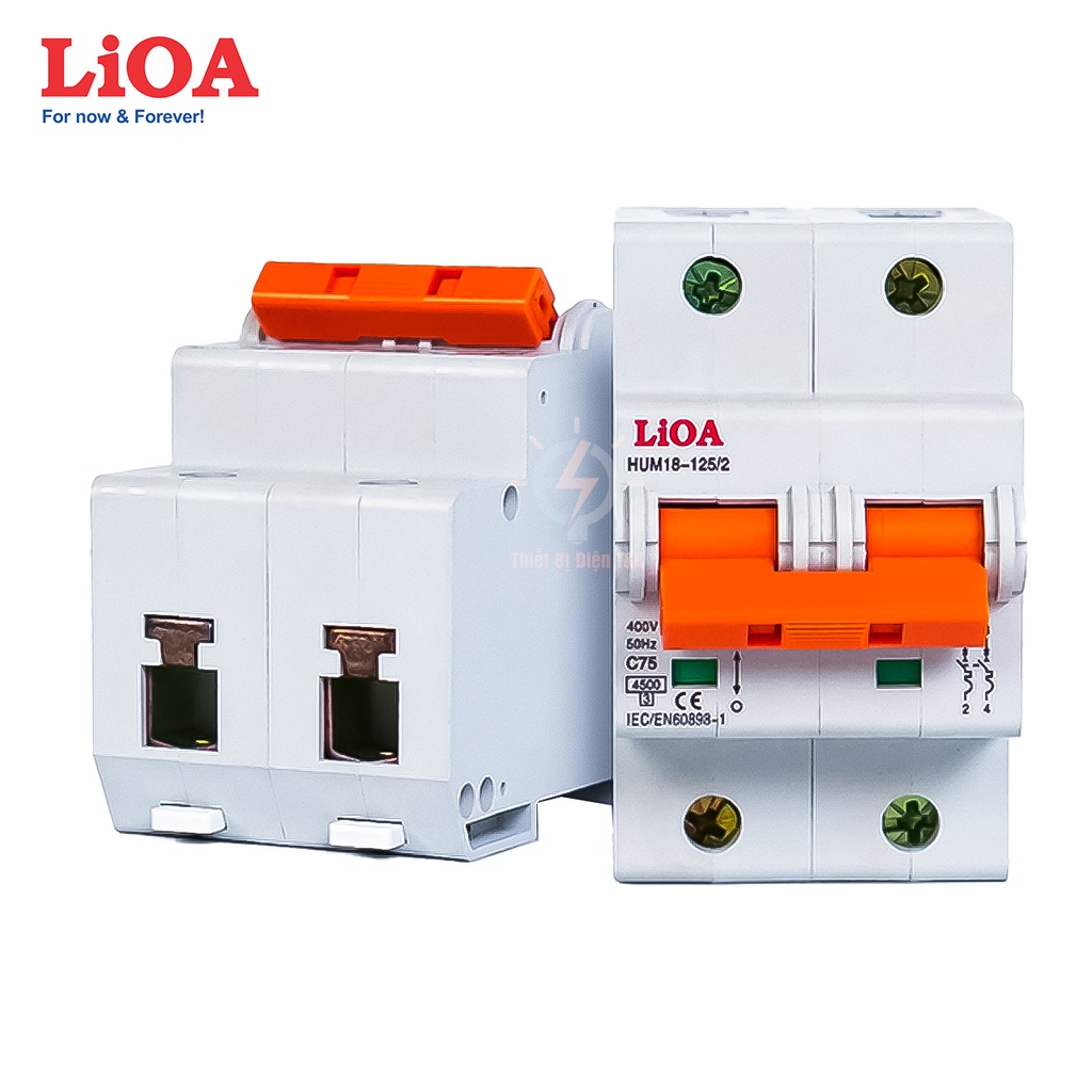 Cầu dao tự động, Aptomat, CB, 2 pha, 2 cực LIOA, dòng cắt 4.5KA, chịu tải 6A, 25A, 32A, 63A, 75A, 100A