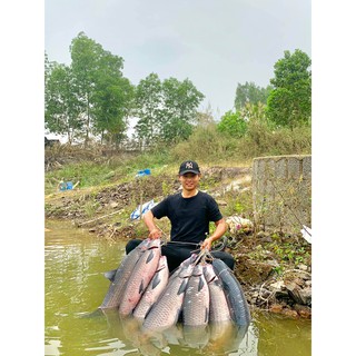Mồi câu LK Hòa